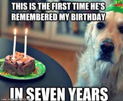 Please enjoy it with your canine friend whose sheer size belies his inner calm and gentleness. Dog Funny Birthday Quotes Quotesgram