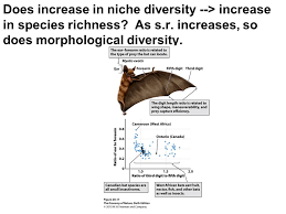 Our Ecological Footprint Ch 20 Community Ecology Species Abundance Diversity Ppt Download
