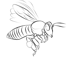 Culture and tradition coloring pages. Free Printable Bee Coloring Pages For Kids