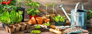 The garden of life is a supplement company that provides many different products in the nutritional sector and has been around since 2000. The Happy Gardening Life Home Facebook