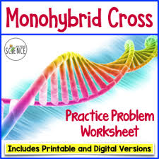 Dihybrid cross worksheet answers new square. Monohybrid Punnett Square Worksheet Printable And Digital Tpt