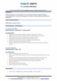 Start downloading this sample resume for this example of cv is available for free download in word format. Laundry Attendant Resume Samples Qwikresume