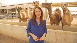 Camel milk encourages a strong immune system as it contains a series of protective proteins such as lysozyme, lactoferrin, lactoperoxidase, immunoglobulin g, and immunoglobulin a. How Are Camel Milk Products Being Consumed Worldwide Euronews