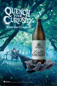 Electric Art Bundaberg Print Advertising Ads Creative Graphic Design Advertising