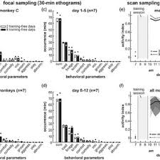 Some focal animal data watching the same group of. Comparison Of Monkey Behavior Observed With Two Types Of Focal Animal Download Scientific Diagram