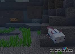Puede ser que hayas puesto un mod de 1.15.2, por ejemplo, en la versión de forge 1.12 . Java Axolotls Addon For Mcpe 1 16