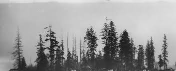 Haunted British Columbia 6 Spooky Places On The Great Trail