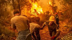 Blaze ravages evia island 'like a horror movie' on sixth day of greek fires. Iw1huphjsl3uim