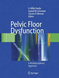 Image result for Pelvic Floor Dysfunction
