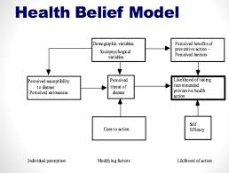Behavior Change Theories Flashcards Questions And Answers Quizlet