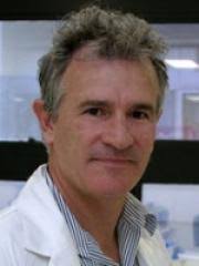 Associate Professor Peter Noakes