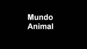 Check spelling or type a new query. Mundo Animal Mamonas Assassinas Custom Guitar Flash