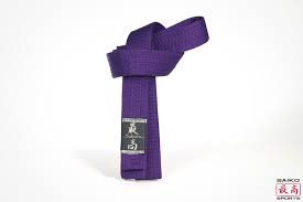 Maybe you would like to learn more about one of these? Saikosports Karate Leben Karategurtel Violetter Baumwollgurtel