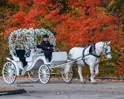Pin On Wedding Carriages