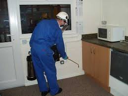 Whether you have troublesome bed bugs or a difficult to control skunk living. Our Technicians Are Very Well Equipped With The Latest Equipment And Extensive Knowledge To Deal With All Kinds Termite Control Best Pest Control Pest Control