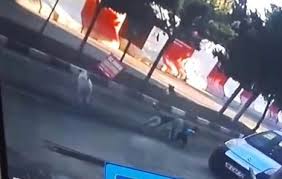 Mardin De Basibos Kopekler 5 Yasindaki Cocuga Kabusu Yasatti