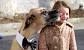 Dog Lick Screen