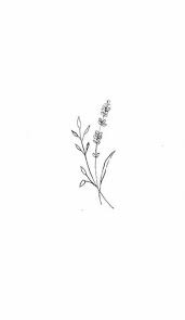 Flowers Drawing Simple Wallpaper 39 Ideas Tattoos Flower Drawing Lavender Tattoo