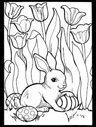Bunny coloring pages best coloring pages for kids. Rozmal Spring Coloring Pages Easter Colouring Bunny Coloring Pages