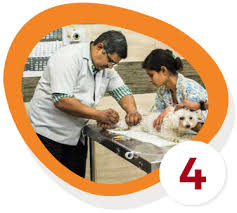 We are a family owned and operated business who believe that the pets that move with us are very special, and so are our values: Home Petfly India Pet Shipping Worldwide