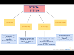 Flowchart Computers Hub