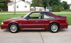 Image result for Medium Cabernet 1988 Tracer