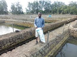 Any of several variables may advocate stocking fewer trout, the most important being a dropping water level during the hot, summer months. Small Ponds Big Opportunities The Fish Site