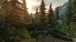 As with many other pc games, entering skyrim console commands is simply a case. Elder Scrolls V Skyrim How To Use Console Commands God Mode Free Gold Tips Prima Games