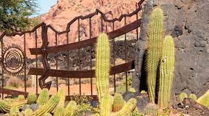 A typical 'cactus fence' , so common across the american southwest and mexico. 37 Desert Landscape Ideas