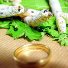 Vreau sa am cumva o dovada despre cat castiga in realitate. Sericicultura Definition Und Synonyme Von Sericicultura Im Worterbuch Spanisch