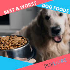 We did not find results for: 16 Worst Dog Food Brands To Avoid In 2021 16 Top Choices