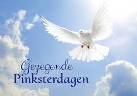 Trek eropuit in de natuur met de kinderen! Pinksteren Baaij Light Cards Webshop