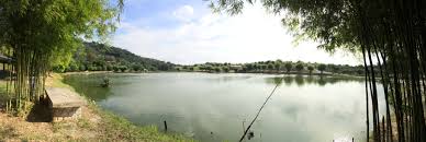 Image result
