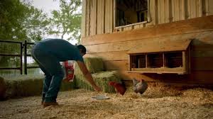 It operates retail farm and ranch stores and focuses on supplying the lifestyle in 2004, when the company reported revenues of more than us$1.7 billion, fortune magazine named tractor supply to its list of the 100 fastest. Tractor Supply Co Home Facebook