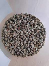 Contextual translation of phapar ko pitho into english. File Tite Phapar Jpg Wikimedia Commons