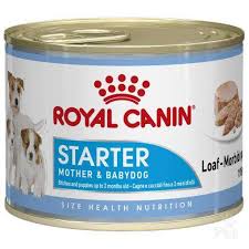 Royal Canin Starter Mousse Anne Ve Yavrulari Icin Kopek Konservesi 195 Gr Kopek Yas Mamalari Royal Canin