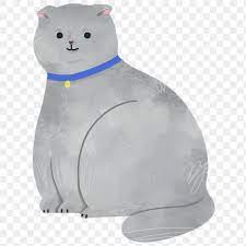 Scottish Fold Cat On A Gray Background Transparent Png Free Image By Rawpixel Com Nunny Cat Scottish Fold Grey And White Cat Golden Retriever Drawing