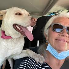 Mex-Can Pet Partners