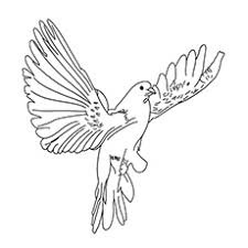 Printable pictures of birds coloring pages are a fun way for kids of all ages to . Top 20 Free Printable Bird Coloring Pages Online