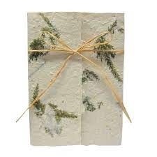 Overlay Seed Paper Invitation Seed Paper Wedding Invites Seed Paper Invitations Plantable Seed Paper Seed Paper
