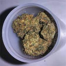 Cookies connected is a cannabis dispensary strictly for cookies strains. Updated 2021 Fortune Cookies Aka Fortune Cookie Weed Strain Information Leafly