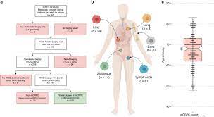 Although the percentage of cases in men is much lower than in women, male breast cancer accounts for a por. The Genomic Landscape Of Metastatic Castration Resistant Prostate Cancers Reveals Multiple Distinct Genotypes With Potential Clinical Impact Nature Communications