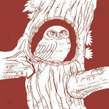 We did not find results for: Owl Stay Insdie Tree Hole Home Line Drawing Royalty Free Cliparts Vectors And Stock Illustration Image 143066374