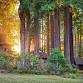 Mendocino 4-Day Bhakti Yoga & Kirtan Retreat 2026 event in Little River, CA
