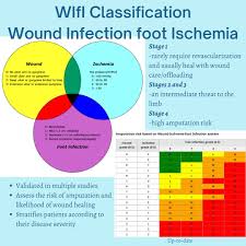 Image result for IDSA Diabetic Foot Wound Classification