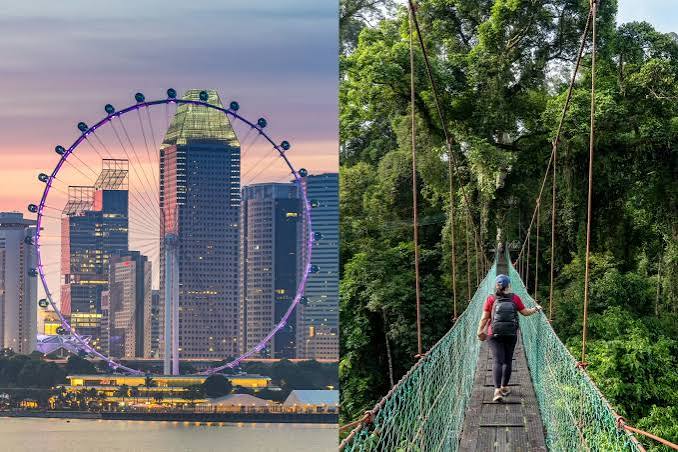 From New York to Singapore, Our Social Life Is Shaped By Food and Dining -  Bloomberg
