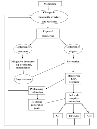 A Conceptual Flowchart Of Coral Reef Restoration The