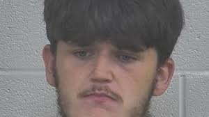 Man arrested after fleeing police