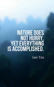 Closer up, you can spot the head of a. 72 Beautiful Beauty Of Nature Quotes And Sayings