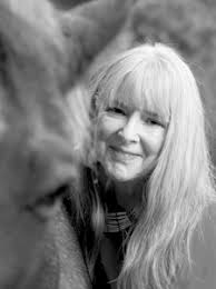 University of Colorado